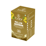 Mullein