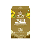 Mullein