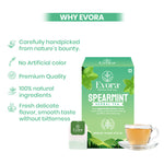 Spearmint